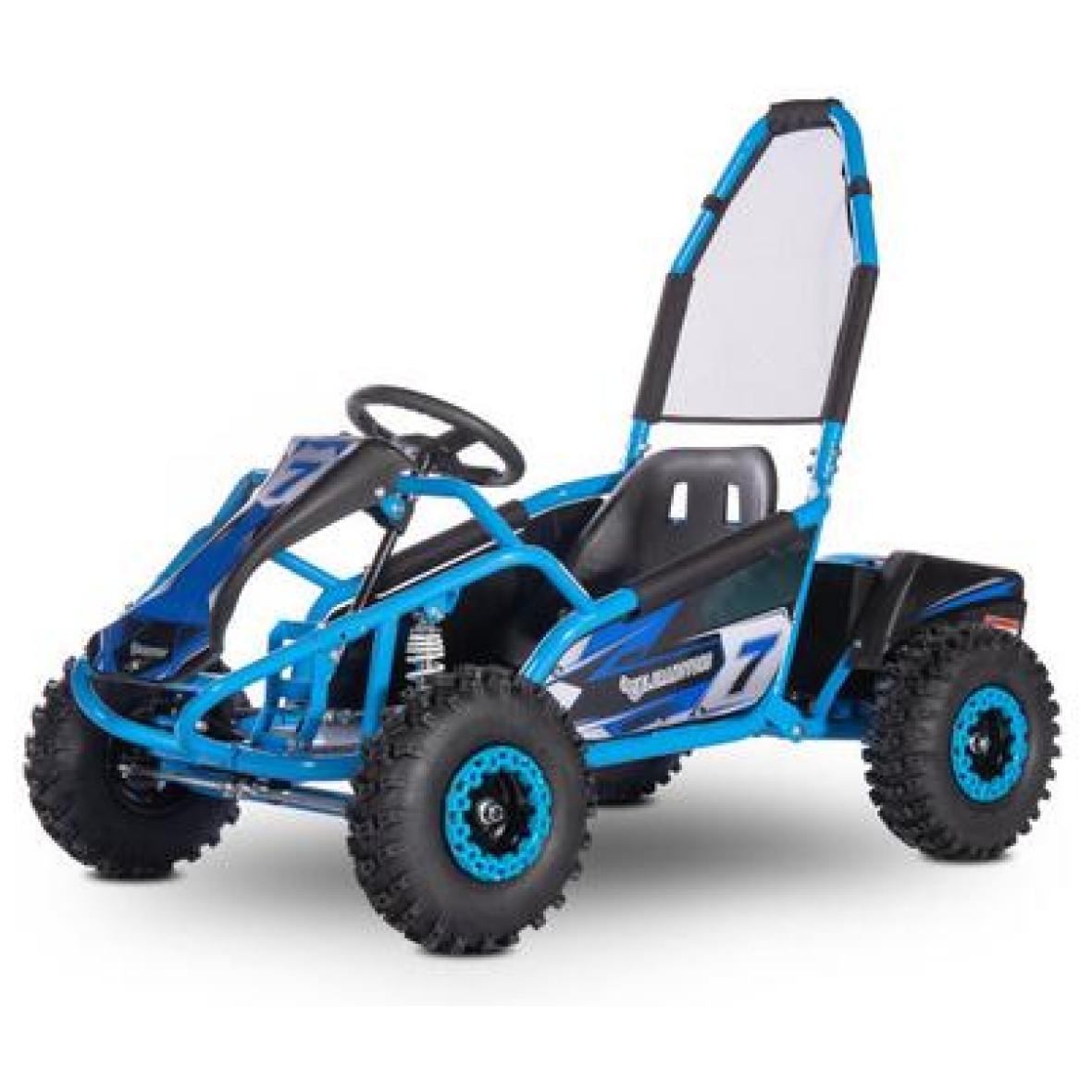 Elektriline bagi 1000w 48v sinine