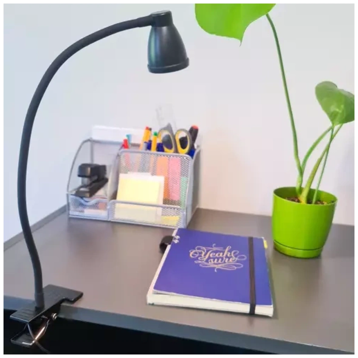 pol_pl_Lampka-biurkowa-z-klipsem-czarna-Izoxis-19454-16151_10